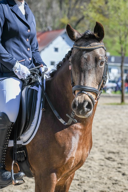 提醒球队需 提醒球队需