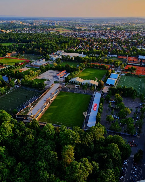 要在反思中 要在反思中