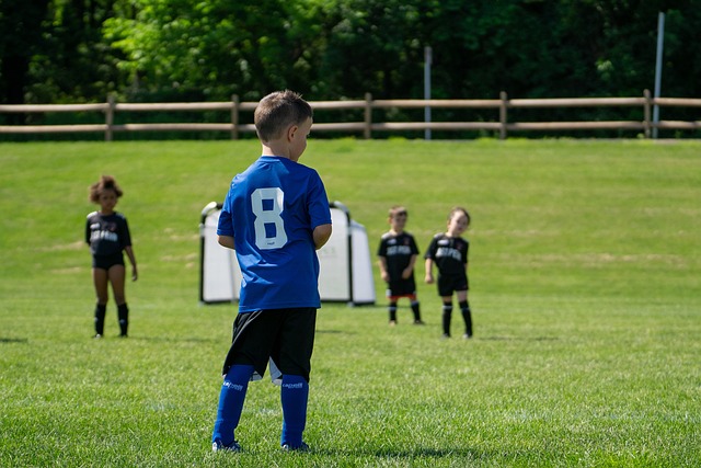 年夺得总冠 年夺得总冠