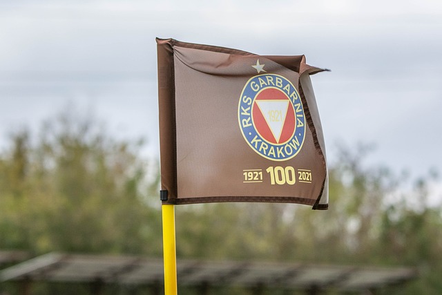 他们在与实 他们在与实