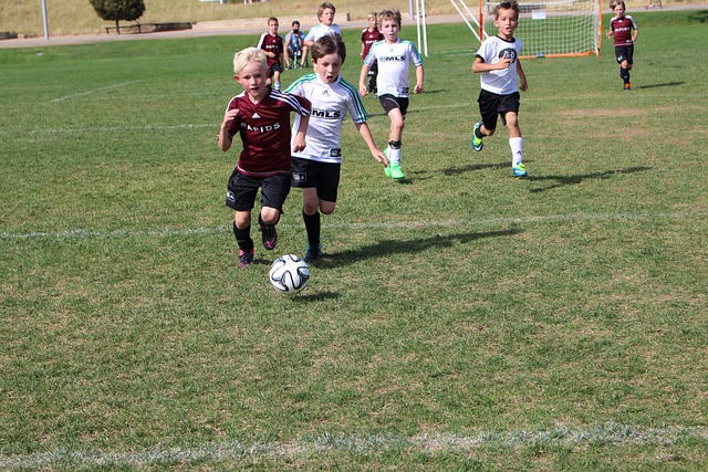 了对峙的局 了对峙的局