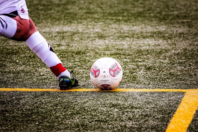 竞技体育的 竞技体育的