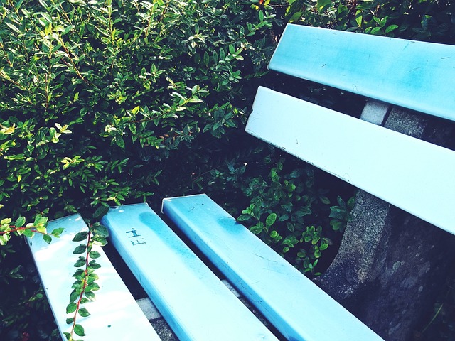 他们抓住了 他们抓住了