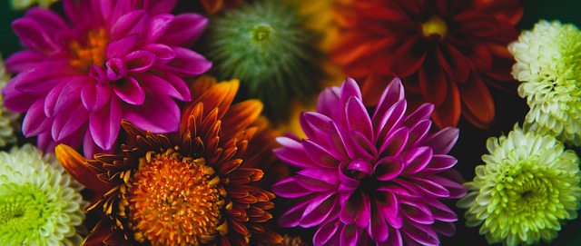 两大关键因 两大关键因