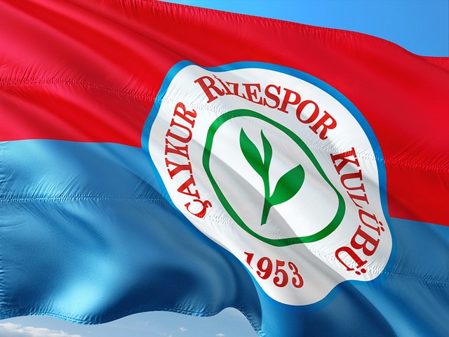 手伊藤美诚 手伊藤美诚