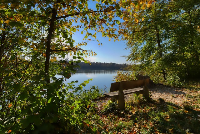僅在全中運 僅在全中運