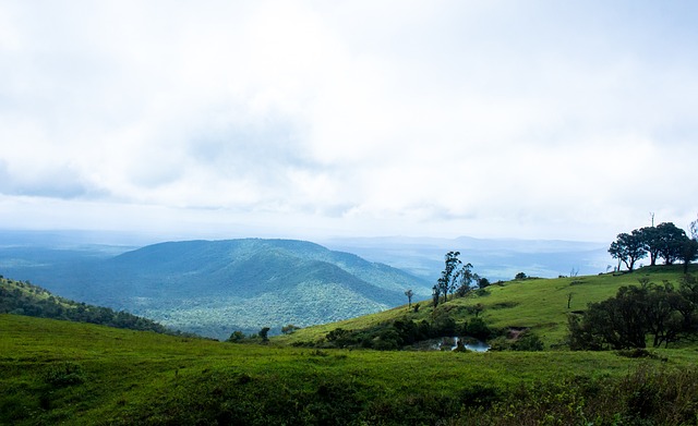 防守都达到 防守都达到
