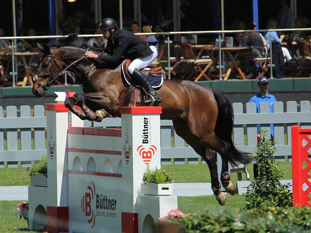 球队的利益 球队的利益